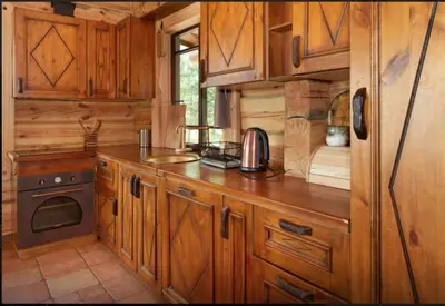 a kitchen with wooden cabinets and a stove at Namelis šalia vynuogyno in Būdziliai