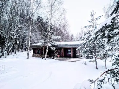 a log cabin in the snow in a forest at Namelis šalia vynuogyno in Būdziliai