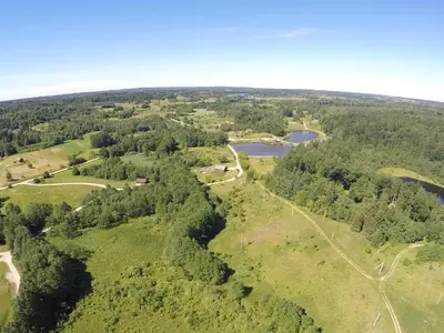 an aerial view of a park with trees and a lake at Namelis šalia vynuogyno in Būdziliai