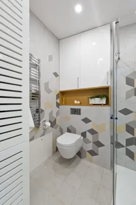 a bathroom with a toilet and a shower at Aura apartamentai in Druskininkai