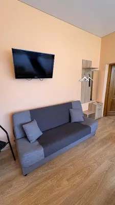a living room with a couch and a flat screen tv at Apartamentai KAVA in Zarasai
