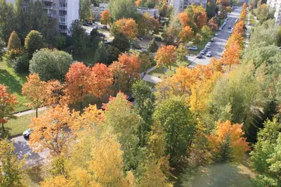 Gallery image of Roberto dangaus apartamentai in Vilnius