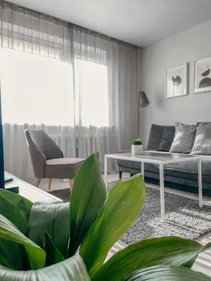 a living room with a bed and a couch at Marijampole Apartment with FREE Parking in Marijampolė
