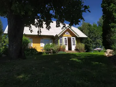a yellow house with a tree in the yard at Kačiūniškis in Kaciūniškiai