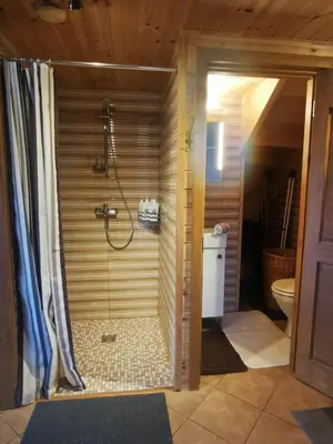 a bathroom with a shower and a toilet at Arturas Guest House in Vilnius