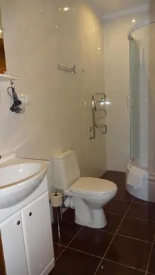a bathroom with a toilet and a sink and a shower at Vidų Guest House in Utena