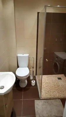 a bathroom with a toilet and a sink and a shower at Igo Apartment Townhall in Vilnius