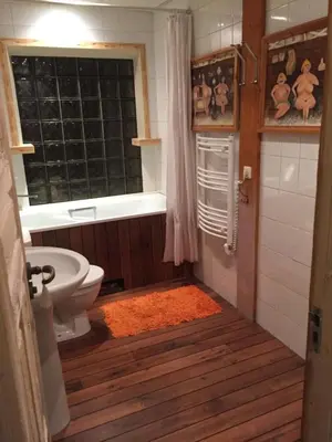 a bathroom with a toilet and a window and a rug at Vilnius Luxury Apartment 3 in Vilnius
