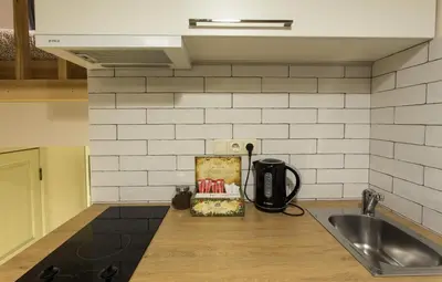 a kitchen with a sink and a counter top at Inga Vacation House in Druskininkai