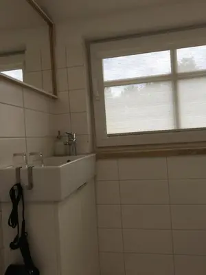 a bathroom with a sink and a window at Inga Vacation House in Druskininkai