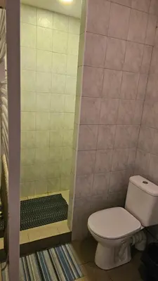a bathroom with a toilet and a shower at Domeikavos vila in Ražiai