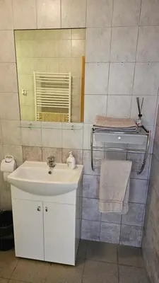 a bathroom with a sink and a mirror at Domeikavos vila in Ražiai