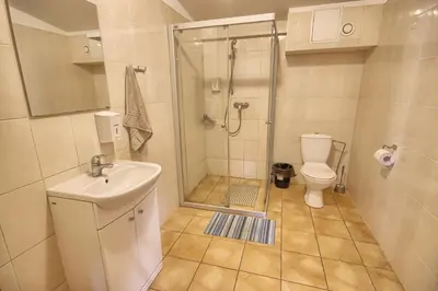 a bathroom with a shower and a sink and a toilet at Domeikavos vila in Ražiai