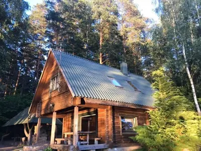 a log cabin with a metal roof at Kaimo Turizmo Sodyba Šniūrai in Mindūnai