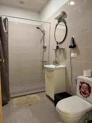 a bathroom with a shower and a toilet and a sink at Villa Midesta in Šiauliai