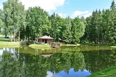 a gazebo sitting on the edge of a lake at Auksinis Ąžuolas in Avižieniai