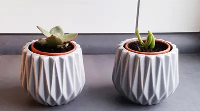 two white vases with plants in them on a table at Nijole ir Algimantas in Anykščiai