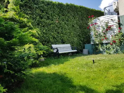 a park bench sitting in the grass next to a hedge at Jaukūs apartamentai Free parking in Vilnius