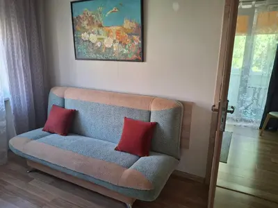 a couch with two red pillows in a living room at Apartamentai Dana in Birštonas