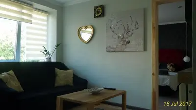 a living room with a couch and a mirror on the wall at Siauliai Apartments - Ežero in Šiauliai