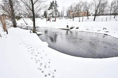 a river covered in snow with footprints in the snow at Atostogų namelis Druskininkuose in Druskininkai
