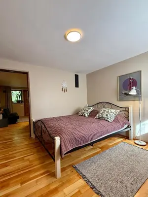 a bedroom with a large bed in a room at Little house in Kaunas