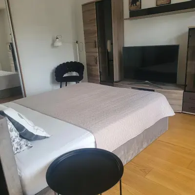 a bedroom with a bed and a tv and a chair at Apartment Hanna in Druskininkai