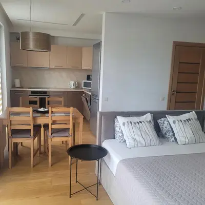 a room with a bed and a kitchen with a table at Apartment Hanna in Druskininkai