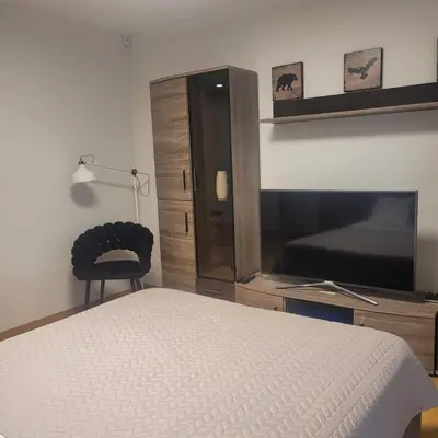 a bedroom with a bed and a tv and a chair at Apartment Hanna in Druskininkai