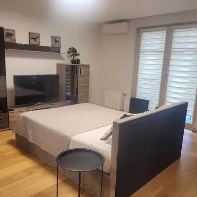 a bedroom with a bed and a flat screen tv at Apartment Hanna in Druskininkai