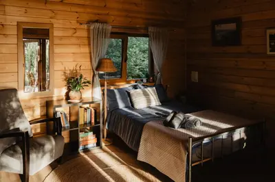a bedroom with a bed in a log cabin at Beržų namelis - Birch cabin in Kučiūnai