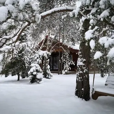 Beržų namelis - Birch cabin