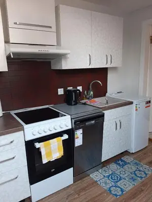 a kitchen with a black and white stove top oven at Prie Ąžuolo in Zarasai
