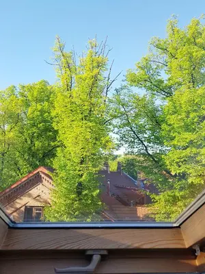 a view from the roof of a house with trees at Exceptional Uzupis Bridge 3 bedroom apartment in Vilnius