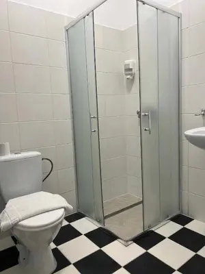 a bathroom with a shower with a toilet and a sink at Via Baltica in Sargėnai