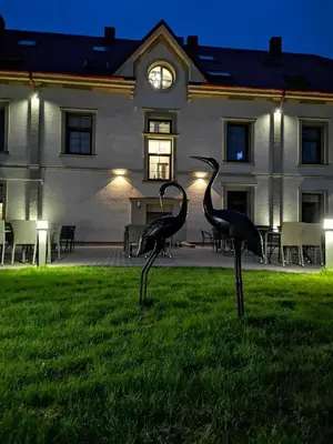 two birds standing in the grass in front of a building at Central Hotel Radviliškis in Radviliškis