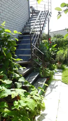 a staircase leading up to a house with plants at Apartment 5A in Kaunas