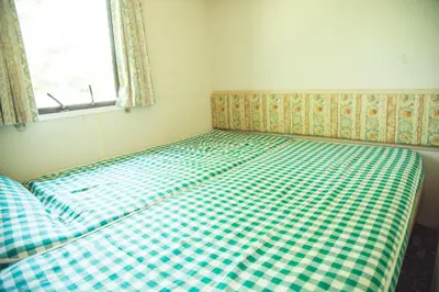 a bed with a green and white checkered mattress at Pušynėlis in Miežonys