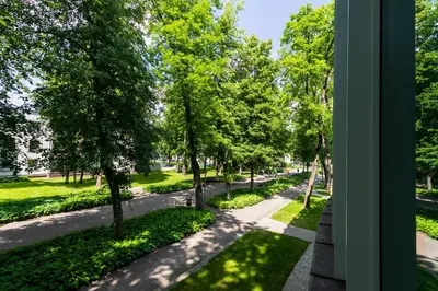 a view from a window of a park with trees at Korio Apartments, Druskininkai in Druskininkai