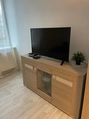 a flat screen tv sitting on top of a wooden entertainment center at Taikos Apartmentai 2 in Druskininkai
