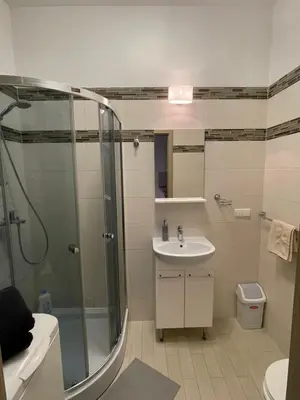 a bathroom with a shower and a sink at Taikos Apartmentai 2 in Druskininkai