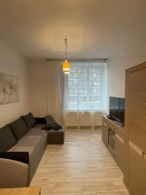 a living room with a couch and a television at Taikos Apartmentai 2 in Druskininkai
