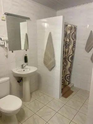 a bathroom with a toilet and a sink and a shower at Turnė in Šiauliai