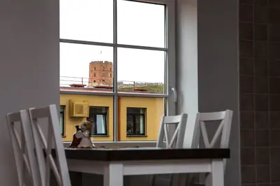 a stuffed dog sitting on a table in front of a window at Skapas Street Vilnius in Vilnius