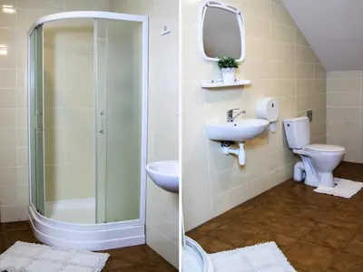 a bathroom with a shower and a sink and a toilet at Homestead Sartakampis in Gipenai