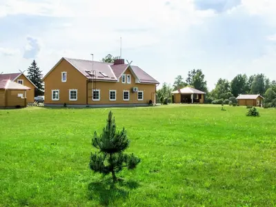 a christmas tree in a field in front of a house at Homestead Sartakampis in Gipenai