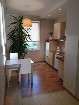 a kitchen with a table and a potted plant at Jaukus butas Šiaulių miesto centre in Šiauliai