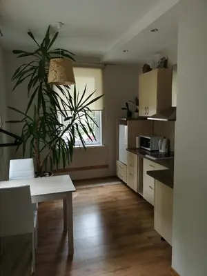 a kitchen with a table and a plant in it at Jaukus butas Šiaulių miesto centre in Šiauliai