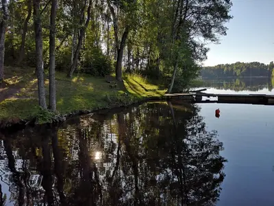 a reflection of trees in the water of a lake at Ažuluokesos sodyba in Molėtai
