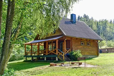 a log cabin in a field with a tree at Ažuluokesos sodyba in Molėtai